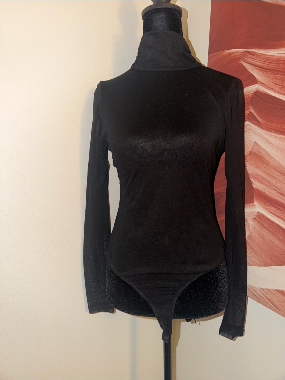 Black See-through Turtleneck Long-Sleeve Bodysuit - Women Tops